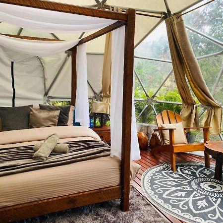 מלון Celeste Glamping Guatapé מראה חיצוני תמונה