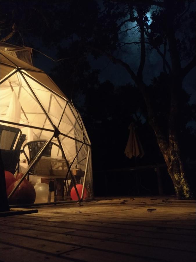 מלון Celeste Glamping Guatapé מראה חיצוני תמונה