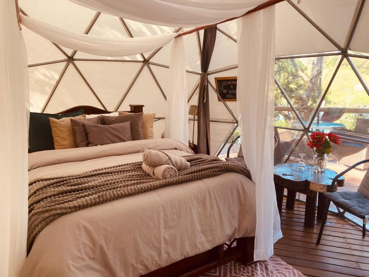 מלון Celeste Glamping Guatapé מראה חיצוני תמונה