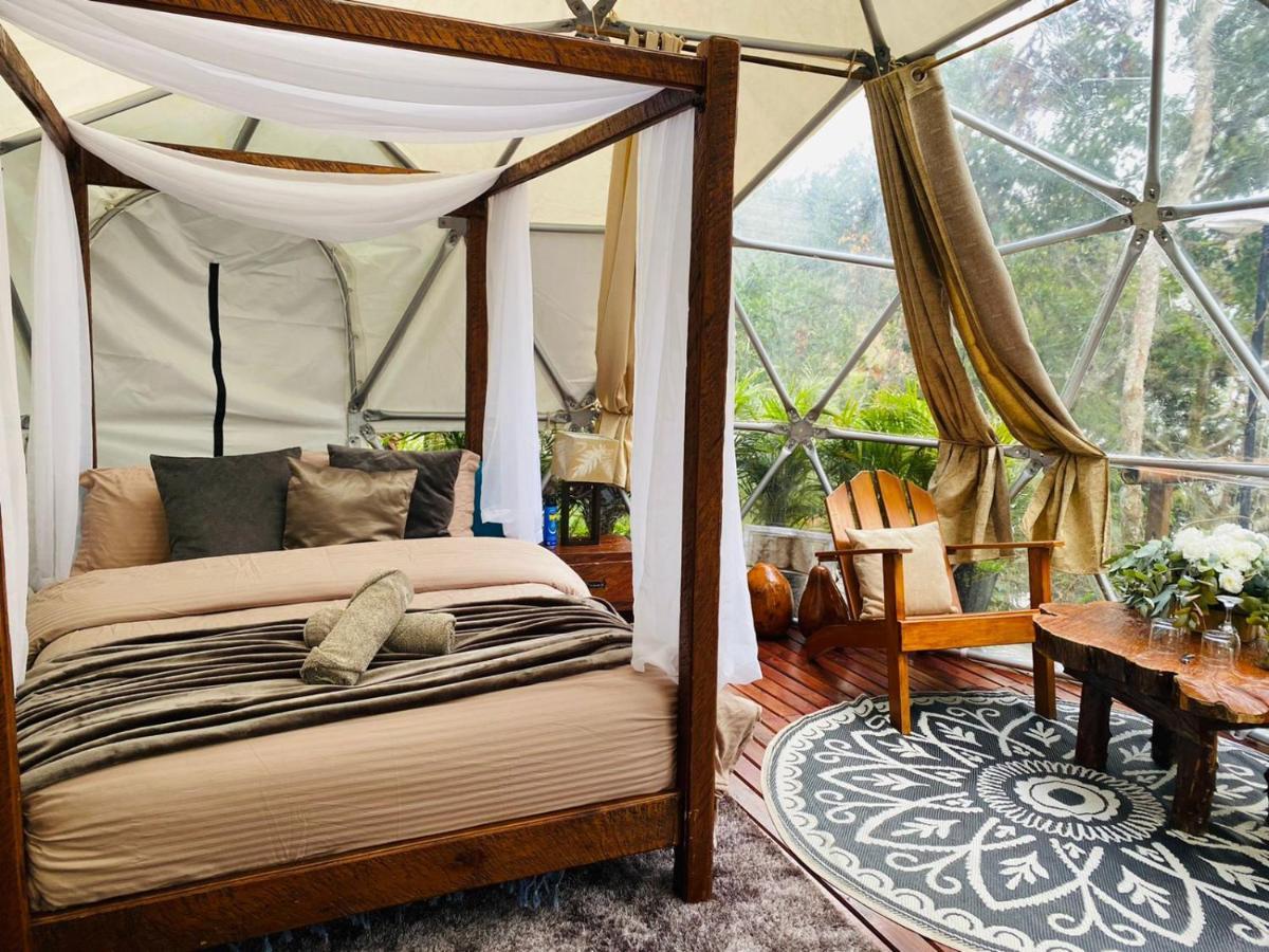 מלון Celeste Glamping Guatapé מראה חיצוני תמונה